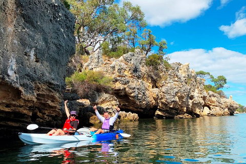 Cliffs And Caves Kayak Tour In Swan River - Hotel Accommodation 0