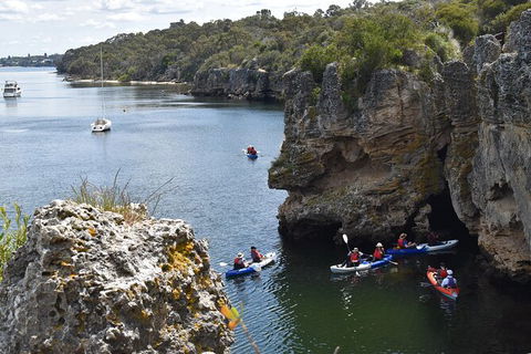 Cliffs And Caves Kayak Tour In Swan River - Hotel Accommodation 2