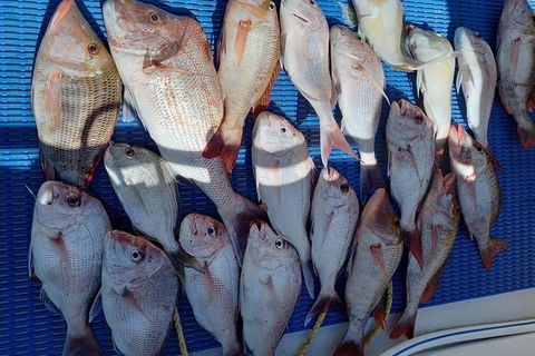 Geraldton Fishing Charter - Hotel Accommodation 7