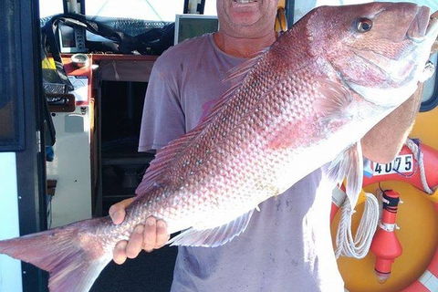 Geraldton Fishing Charter - Hotel Accommodation 10