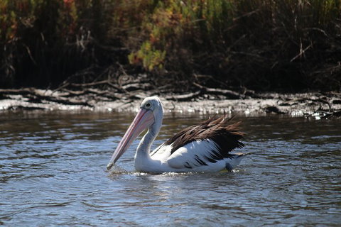 Private Guided River Kayak Tour - Hotel Accommodation 2