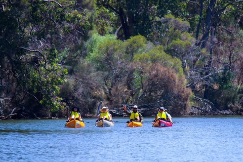 Private Guided River Kayak Tour - Hotel Accommodation 6