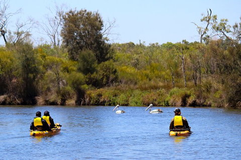 Private Guided River Kayak Tour - Hotel Accommodation 4