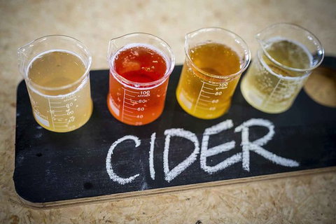 Bickley Valley Wine & Cider Tour - Premium Small Group Tour - Hotel Accommodation 1