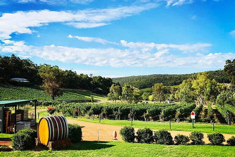 Bickley Valley Wine & Cider Tour - Premium Small Group Tour - Hotel Accommodation 0