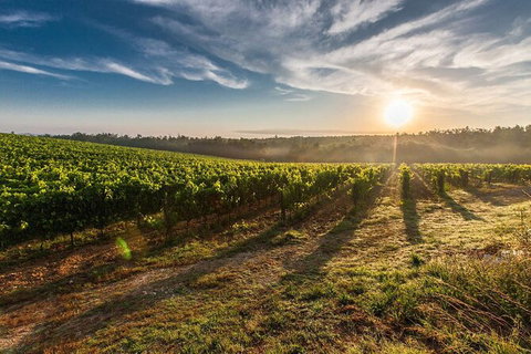 Perth To Margaret River Wine Tour - 2 Day Premium Boutique Wine Tour Experience - Hotel Accommodation 0