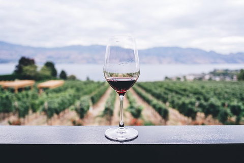Full-Day Gourmet Wine Tour With Pick Up And Lunch - Hotel Accommodation 1