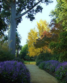 Albury NSW Hotel Accommodation