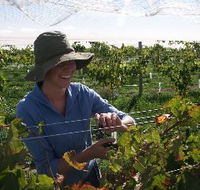 Kingsdale Wines - Hotel Accommodation