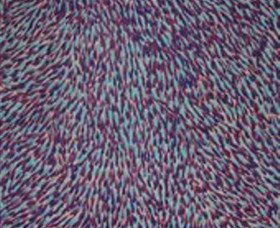 Wollombi NSW Hotel Accommodation