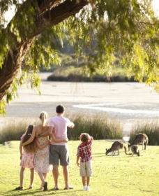 Yanchep National Park - Bushwalking Trails - Hotel Accommodation 0