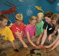 Naturaliste Marine Discovery Centre - Hotel Accommodation