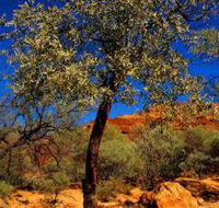 Mt Romance Australia Pty Ltd - Hotel Accommodation