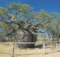 Boab Prison Tree - Hotel Accommodation