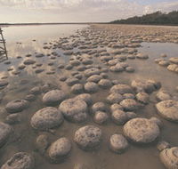 Lake Clifton Thrombolites - Hotel Accommodation