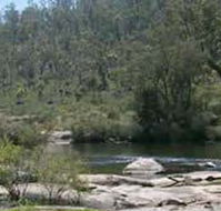 Wellington Discovery Forest - Hotel Accommodation
