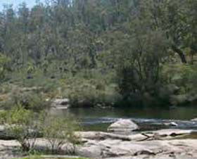Wellington Discovery Forest - Hotel Accommodation 0