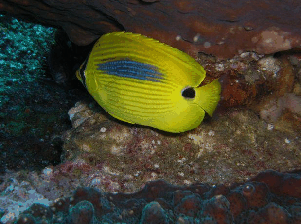 Jervis Bay Dive Charters - Hotel Accommodation 1