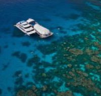 Great Adventures Reef and Green Island Cruises - Hotel Accommodation