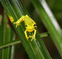 Daintree River Cruise Centre - Hotel Accommodation