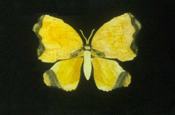 Home Hill QLD Hotel Accommodation