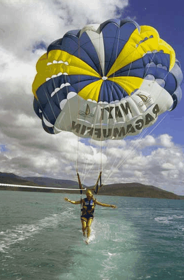 Island Parasail - Hotel Accommodation 2