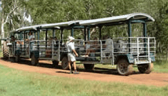 Whitsunday Crocodile Safari - Hotel Accommodation 2