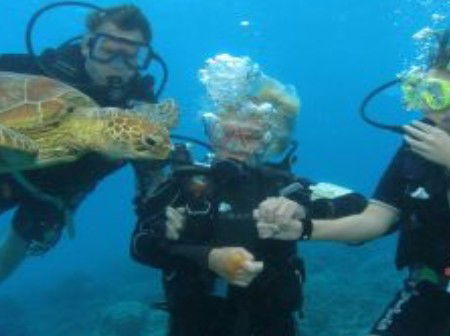 Brinsmead QLD Hotel Accommodation