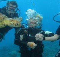 Yardarm Pty Ltd t/a Passions of Paradise - Hotel Accommodation