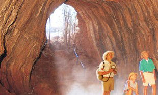 Undara Experience - Hotel Accommodation 3