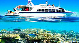 Reef Jet Cruises - Hotel Accommodation 2