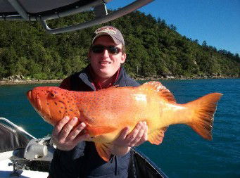 Gone Fishing By Coral Sea Fishing Charters Airlie Beach - Hotel Accommodation 0