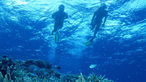 Air Whitsunday Day Tours - Hotel Accommodation 1