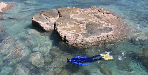 Salty Dog Sea Kayaking - Hotel Accommodation 6