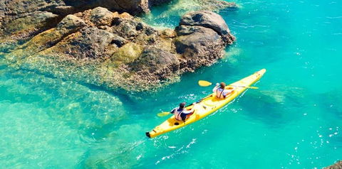 Salty Dog Sea Kayaking - Hotel Accommodation 9