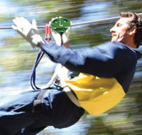 Adventure Parc - Hotel Accommodation
