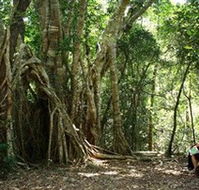 The Airlie Creek Track - Hotel Accommodation