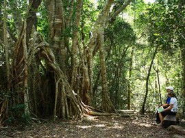 The Airlie Creek Track - Hotel Accommodation 0