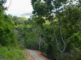 The Airlie Creek Track - Hotel Accommodation 1