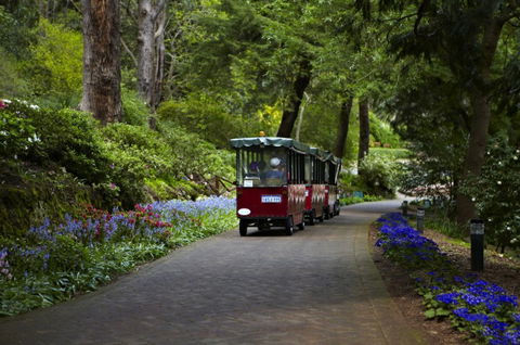 Araluen Botanic Park - Hotel Accommodation 0