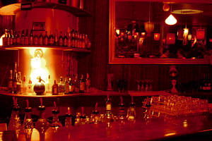 The Night Cat - Hotel Accommodation 0