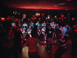 The Night Cat - Hotel Accommodation 1