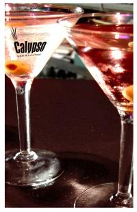 Calypso Bar And Lounge - Hotel Accommodation 1