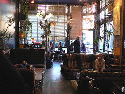 Blackcat - Hotel Accommodation 1