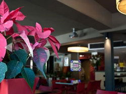 The Buckland Hotel - Hotel Accommodation 1