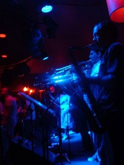 The Night Cat - Hotel Accommodation 2