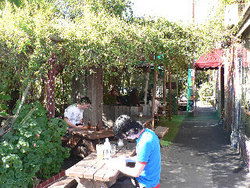 Blackcat - Hotel Accommodation 3