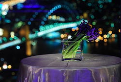 Summit - Orbit Lounge Bar - Hotel Accommodation 3
