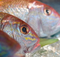 Coro Hotel - Lure Seafood Restaurant - Hotel Accommodation