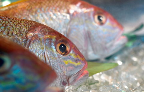 Coro Hotel - Lure Seafood Restaurant - Hotel Accommodation 0